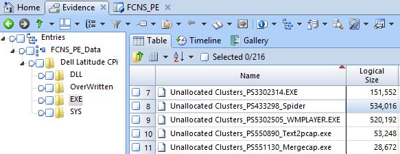 FNCS PE 03